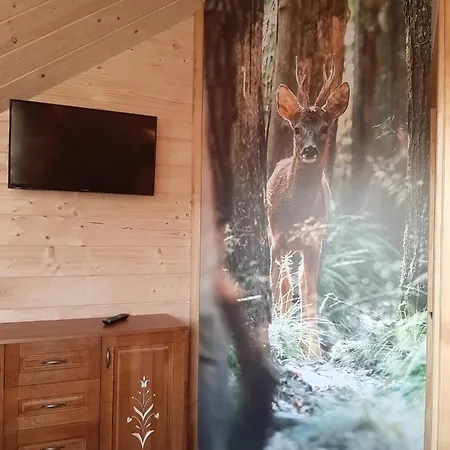 Chalet Szalas Na Krawedzi Bukowina Tatrzanska