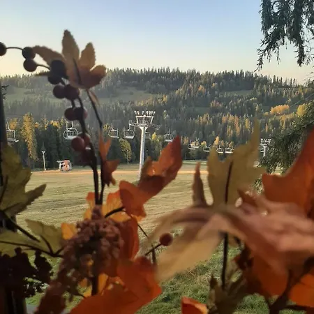 Szalas Na Krawedzi Chalet Bukowina Tatrzańska